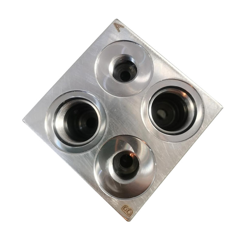 CA-08A-3C Hydraulcylinderbalansventilblock